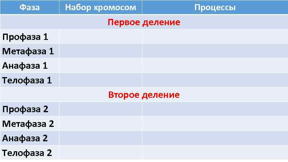Фаза Набор хромосом Процессы Первое деление Профаза Фаза Набор хромосом Процессы Первое деление Профаза