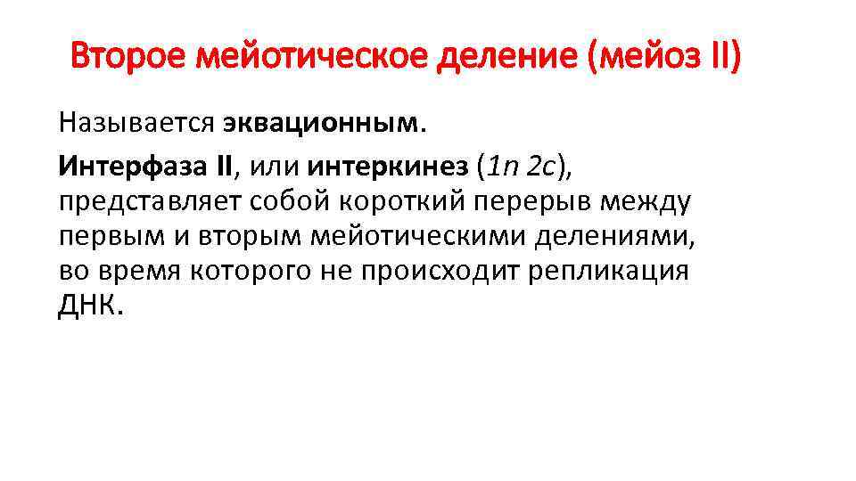 Второе мейотическое деление (мейоз II) Называется эквационным. Интерфаза II, или интеркинез (1 n 2 Второе мейотическое деление (мейоз II) Называется эквационным. Интерфаза II, или интеркинез (1 n 2
