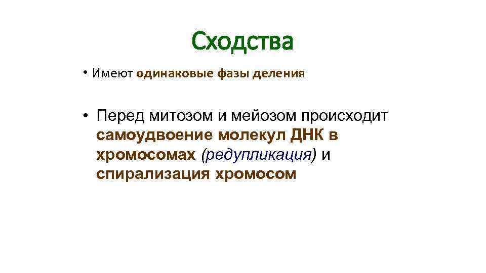 Сходства • Имеют одинаковые фазы деления • Перед митозом Сходства • Имеют одинаковые фазы деления • Перед митозом