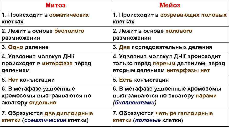 Мейоз отличается от митоза. Деление клетки митоз и мейоз таблица. Митоз мейоз ЕГЭ биология шпаргалка. Различия митоза и мейоза таблица. Фазы митоза и мейоза таблица.