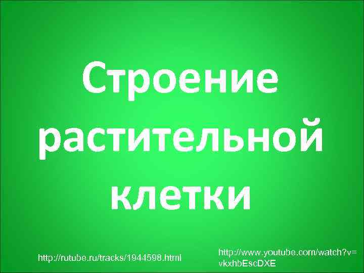  Строение растительной клетки    http: //www. youtube. com/watch? v= http: //rutube.