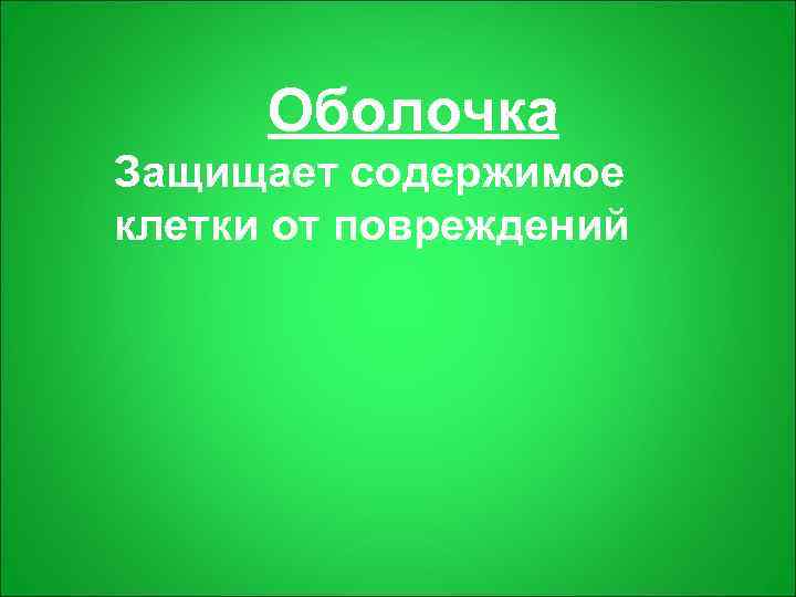  Оболочка Защищает содержимое клетки от повреждений 