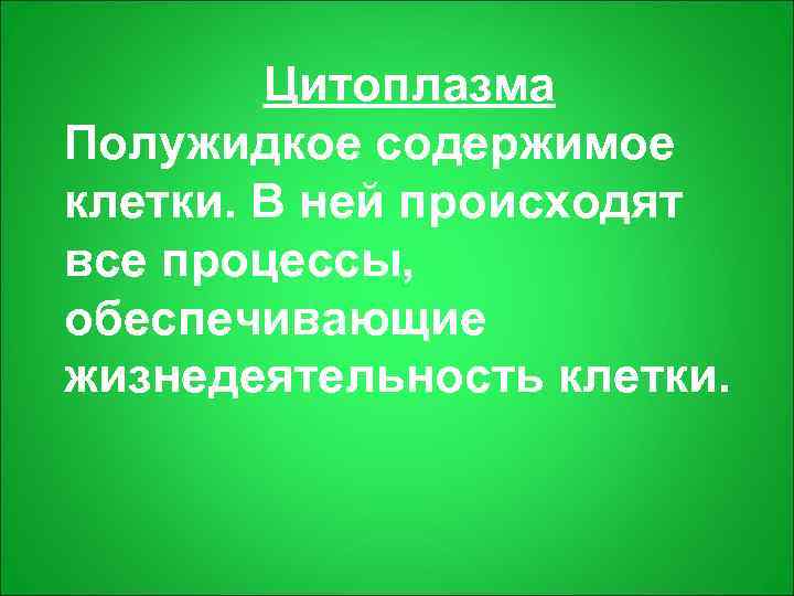   Цитоплазма Полужидкое содержимое клетки. В ней происходят все процессы, обеспечивающие жизнедеятельность клетки.