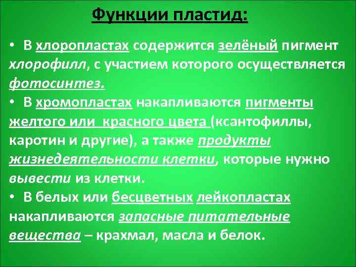   Функции пластид:  • В хлоропластах содержится зелёный пигмент хлорофилл, с участием