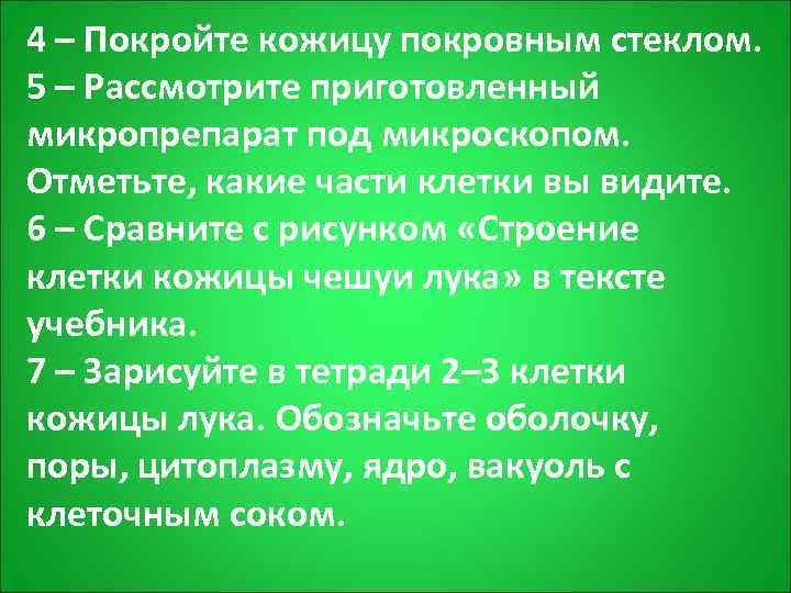 4 – Покройте кожицу покровным стеклом. 5 – Рассмотрите приготовленный микропрепарат под микроскопом. 