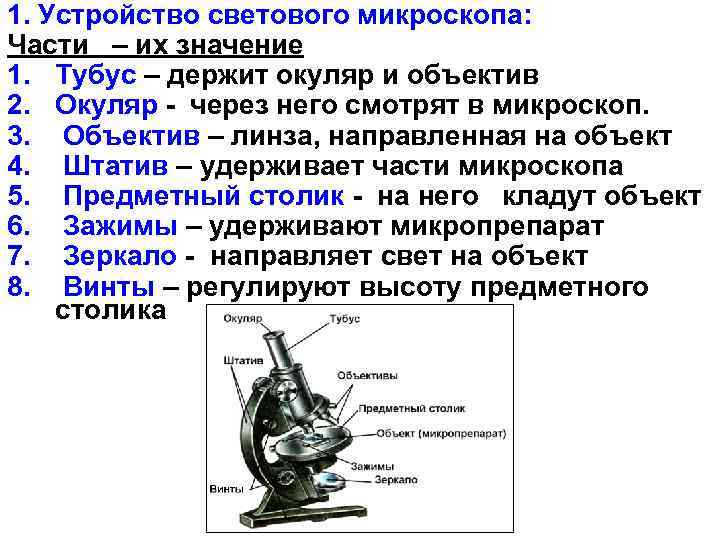 1. Устройство светового микроскопа: Части – их значение 1. Тубус – держит окуляр и