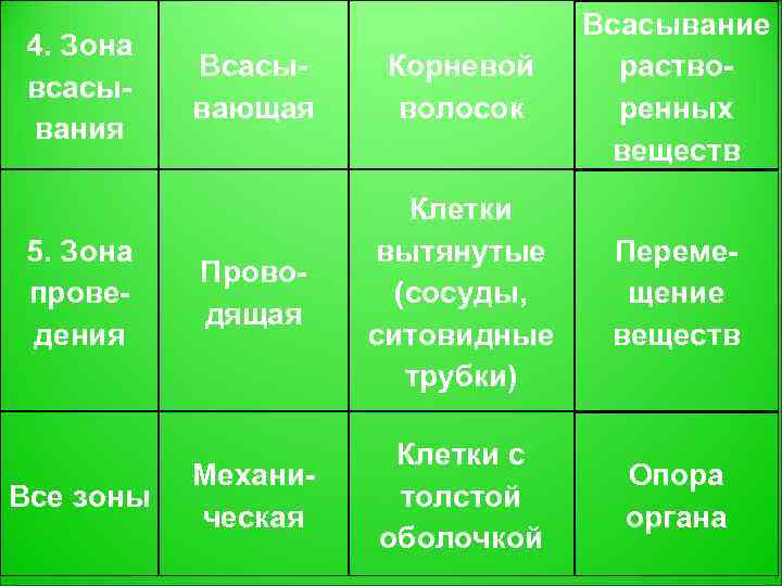        Всасывание 4. Зона  Всасы- Корневой раство-