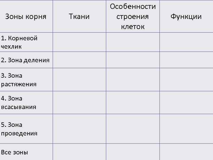      Особенности Зоны корня  Ткани  строения Функции 