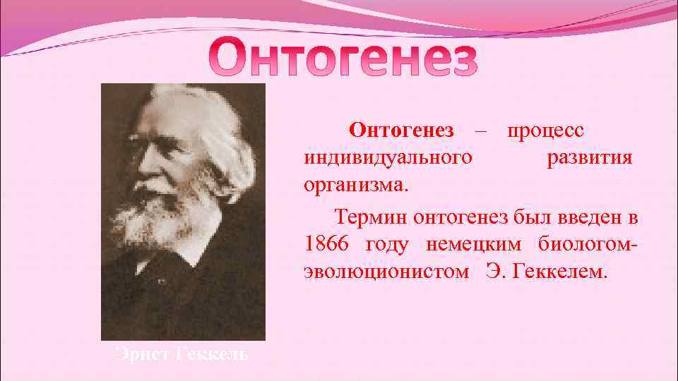 Индивидуальное развитие организмов онтогенез 10 класс