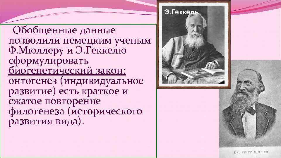 Э. Геккель Обобщенные данные позволили немецким ученым Э. Геккель Обобщенные данные позволили немецким ученым
