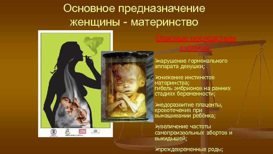 Основное предназначение женщины - материнство Опасные последствия Основное предназначение женщины - материнство Опасные последствия