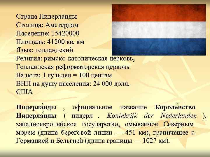 Чем отличались нидерланды. Государственный язык Голландии. Языки Нидерландов. Глава государства Нидерланды и государственный язык.