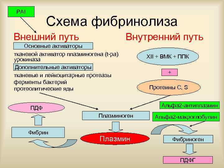 Схема фибринолиза физиология