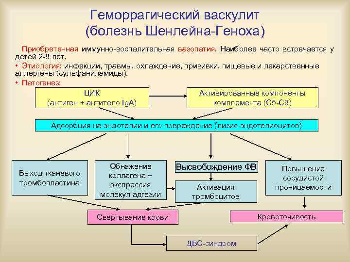 План обследования при геморрагическом васкулите