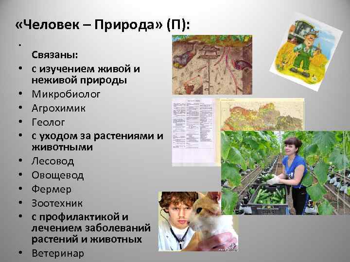  «Человек – Природа» (П):  • Связаны:  •  с изучением живой