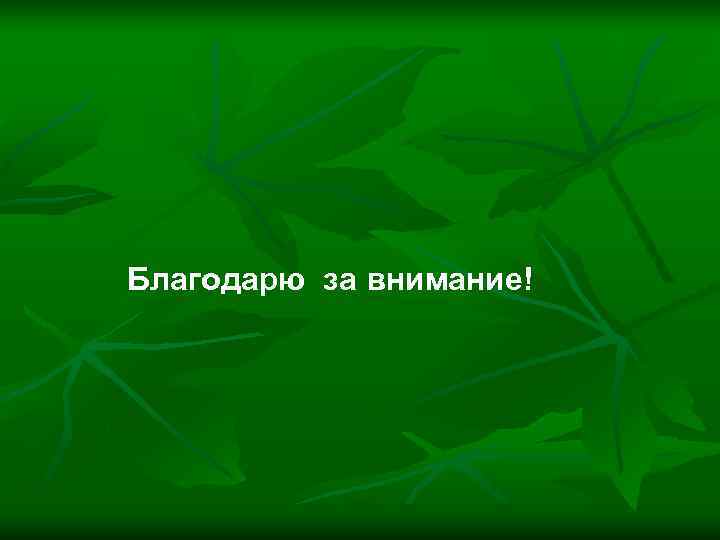 Благодарю за внимание! Благодарю за внимание!