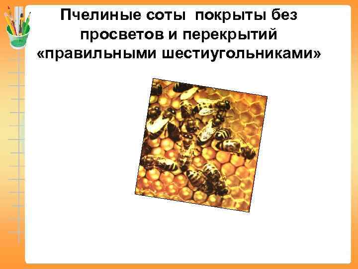   Пчелиные соты покрыты без просветов и перекрытий «правильными шестиугольниками» 