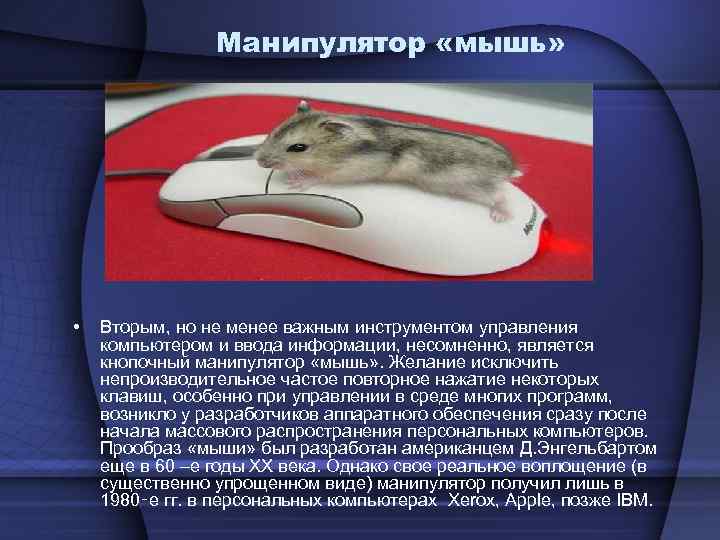 Манипулятор «мышь» • Вторым, но не менее важным инструментом Манипулятор «мышь» • Вторым, но не менее важным инструментом