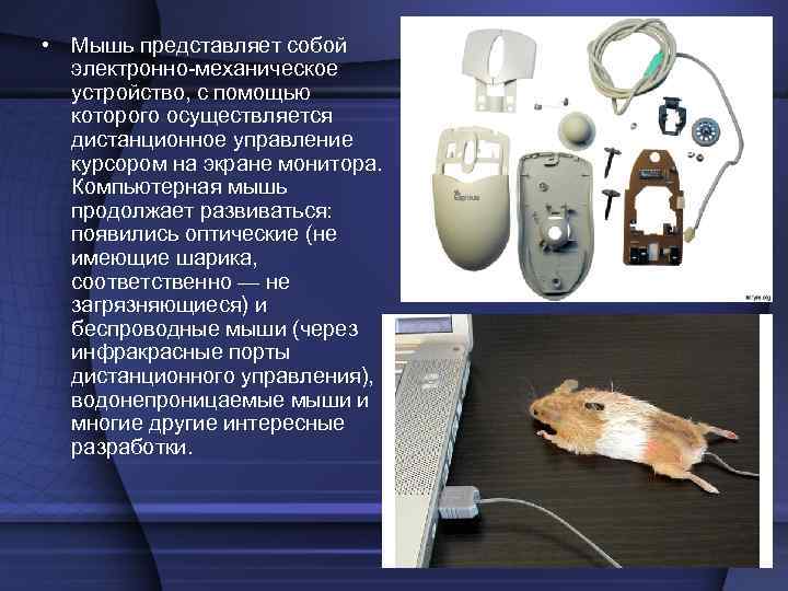 • Мышь представляет собой электронно-механическое устройство, с помощью которого осуществляется • Мышь представляет собой электронно-механическое устройство, с помощью которого осуществляется