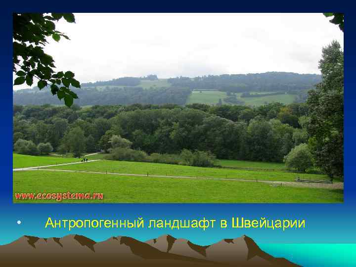  • Антропогенный ландшафт в Швейцарии 