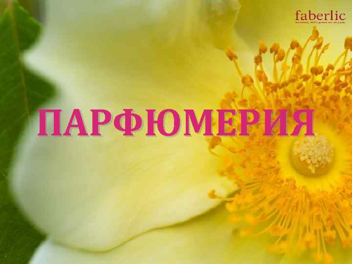 ПАРФЮМЕРИЯ 