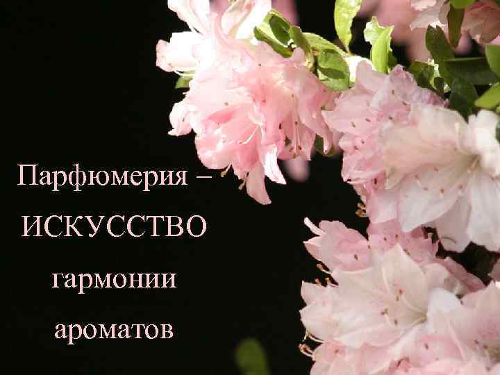 Парфюмерия – ИСКУССТВО  гармонии  ароматов 