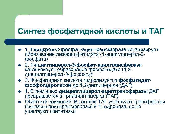 Синтез фосфатидной кислоты и ТАГ l  1. Глицерол-3 -фосфат-ацилтрансфераза катализирует образование лизофосфатидата (1