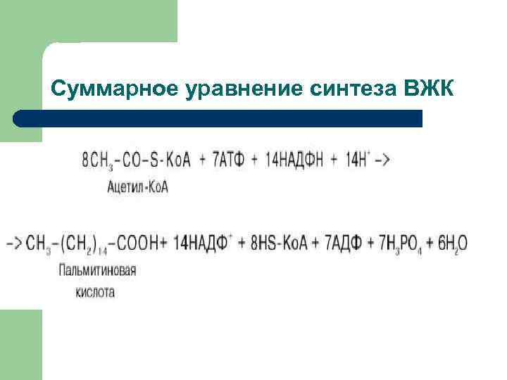 Суммарное уравнение синтеза ВЖК 