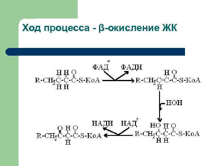 Ход процесса - β-окисление ЖК 