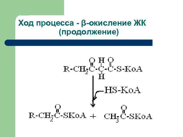 Ход процесса - β-окисление ЖК   (продолжение) 