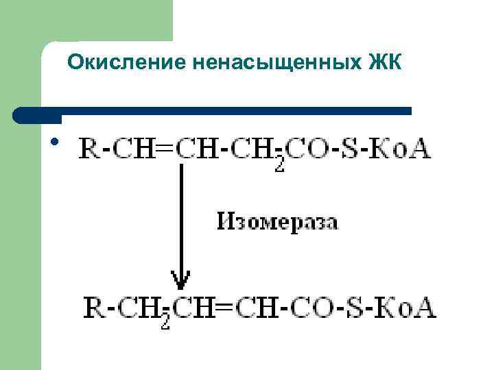   Окисление ненасыщенных ЖК  l  Окисление ненасыщенных ЖК 