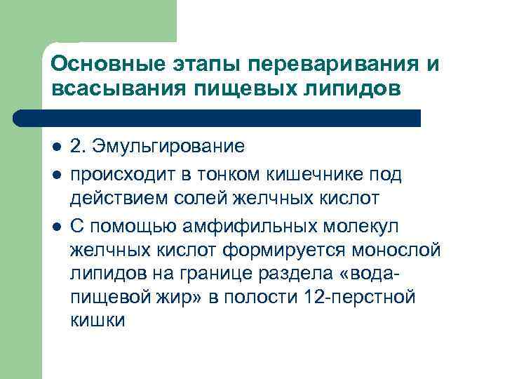 Основные этапы переваривания и всасывания пищевых липидов l  2. Эмульгирование l  происходит