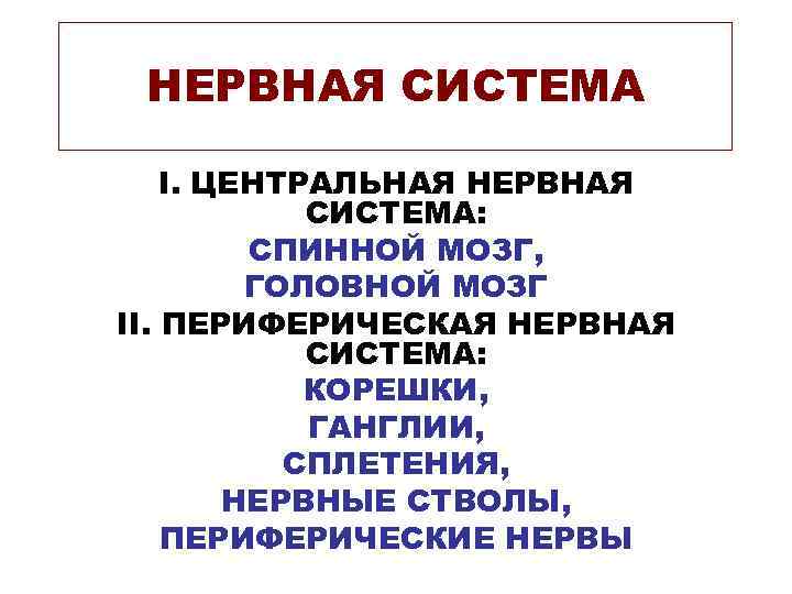 НЕРВНАЯ СИСТЕМА I. ЦЕНТРАЛЬНАЯ НЕРВНАЯ СИСТЕМА: СПИННОЙ МОЗГ, ГОЛОВНОЙ НЕРВНАЯ СИСТЕМА I. ЦЕНТРАЛЬНАЯ НЕРВНАЯ СИСТЕМА: СПИННОЙ МОЗГ, ГОЛОВНОЙ