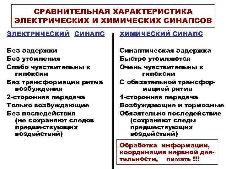 Отличия синапсов