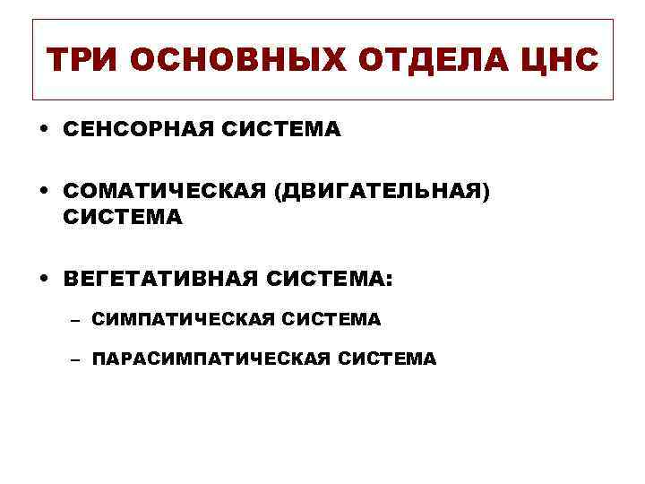 ТРИ ОСНОВНЫХ ОТДЕЛА ЦНС • СЕНСОРНАЯ СИСТЕМА • СОМАТИЧЕСКАЯ (ДВИГАТЕЛЬНАЯ) СИСТЕМА ТРИ ОСНОВНЫХ ОТДЕЛА ЦНС • СЕНСОРНАЯ СИСТЕМА • СОМАТИЧЕСКАЯ (ДВИГАТЕЛЬНАЯ) СИСТЕМА