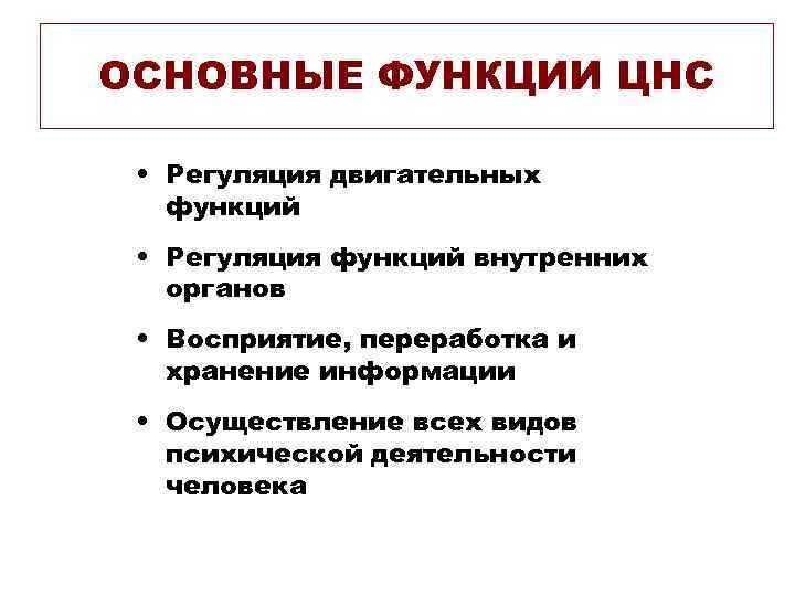 ОСНОВНЫЕ ФУНКЦИИ ЦНС • Регуляция двигательных функций • Регуляция функций внутренних ОСНОВНЫЕ ФУНКЦИИ ЦНС • Регуляция двигательных функций • Регуляция функций внутренних