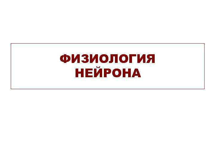 ФИЗИОЛОГИЯ НЕЙРОНА ФИЗИОЛОГИЯ НЕЙРОНА