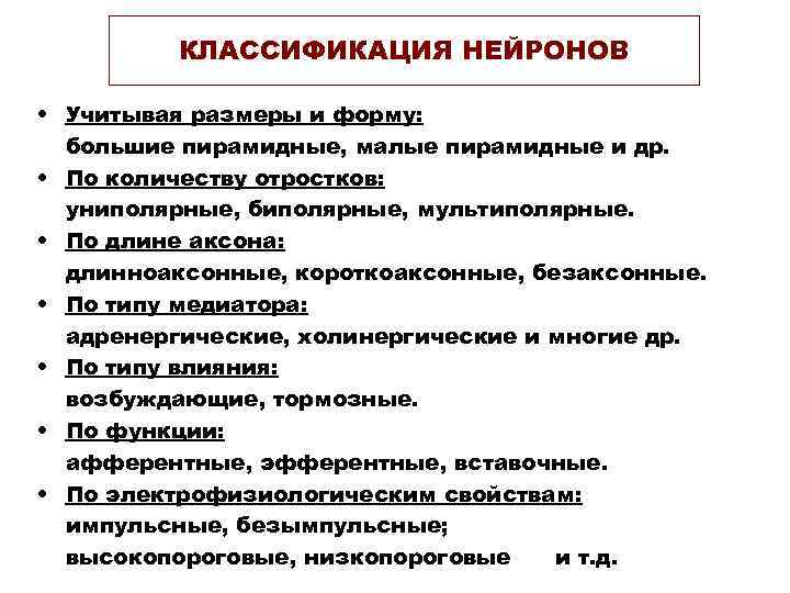КЛАССИФИКАЦИЯ НЕЙРОНОВ • Учитывая размеры и форму: большие пирамидные, КЛАССИФИКАЦИЯ НЕЙРОНОВ • Учитывая размеры и форму: большие пирамидные,