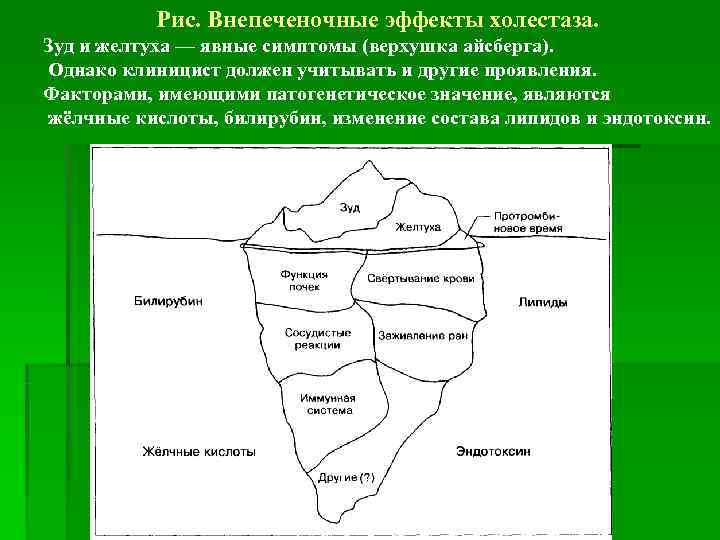   Рис. Внепеченочные эффекты холестаза. Зуд и желтуха — явные симптомы (верхушка айсберга).