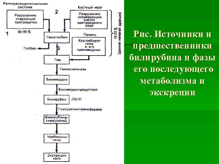   2  1  Рис. Источники и 3  предшественники  