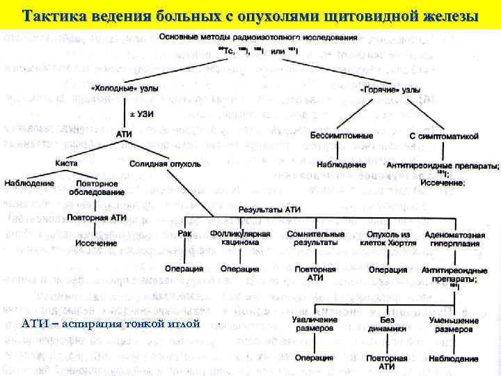 Схема диагностических мероприятий при наличии опухоли в желудке