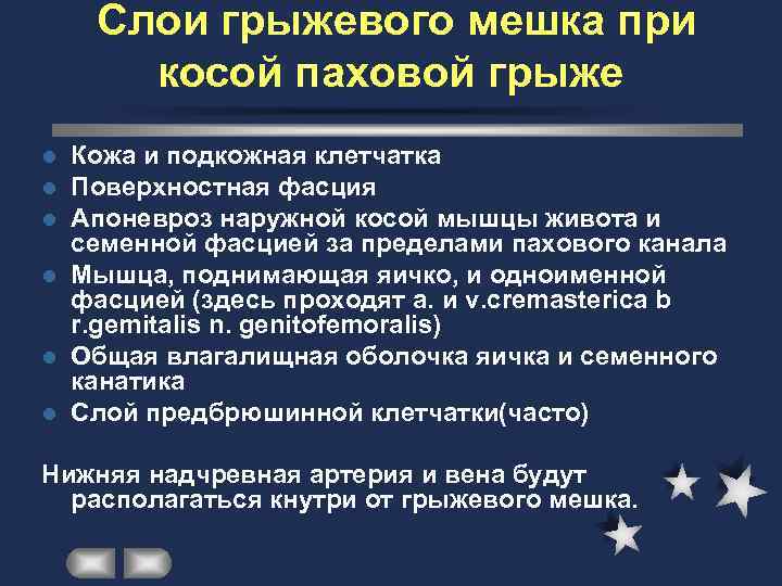   Слои грыжевого мешка при  косой паховой грыже l Кожа и подкожная