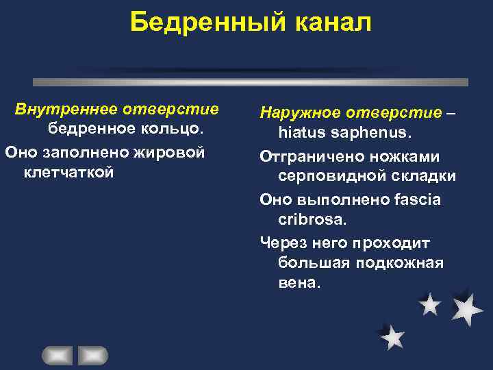   Бедренный канал  Внутреннее отверстие  Наружное отверстие – бедренное кольцо. hiatus