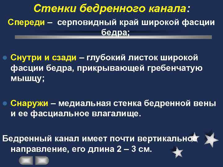   Стенки бедренного канала: Спереди – серповидный край широкой фасции   