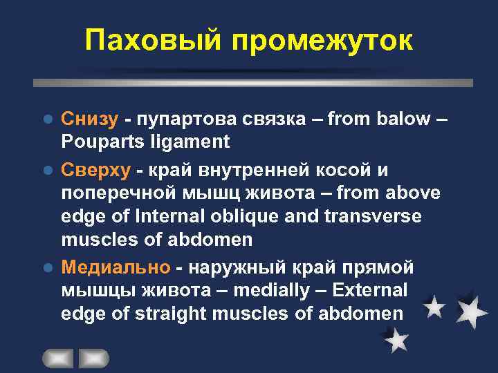   Паховый промежуток l Снизу - пупартова связка – from balow – 
