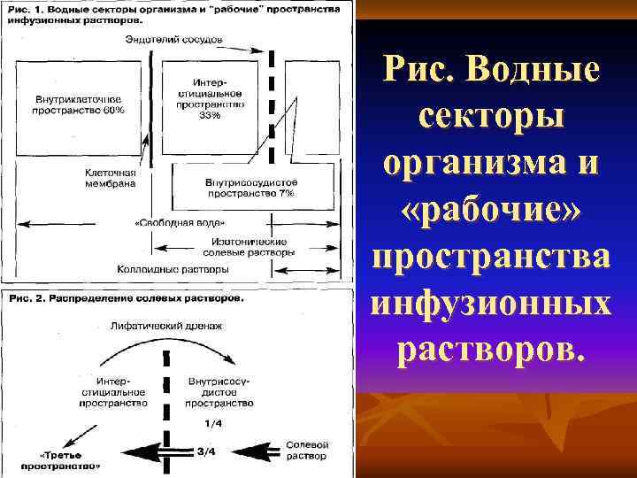  Рис. Водные секторы  организма и «рабочие»  пространства инфузионных  растворов. 