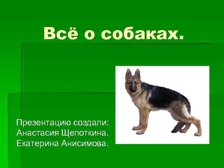 Свободная презентация. Презентация щенков. Собака для презентации. Презентация на свободную тему. Всё для собак.