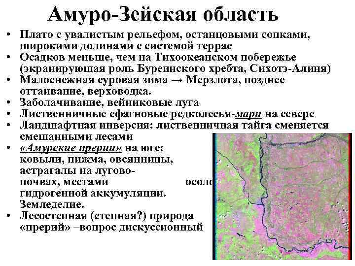  Амуро-Зейская область • Плато с увалистым рельефом, останцовыми сопками,  широкими долинами с