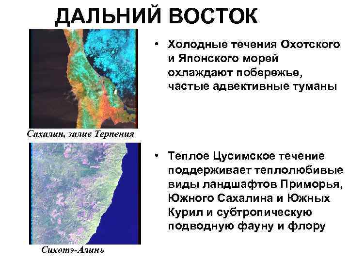 Холодный восток. Течения японского моря. Цусимское течение. Морские течения дальнего Востока. Карта течений японского моря.