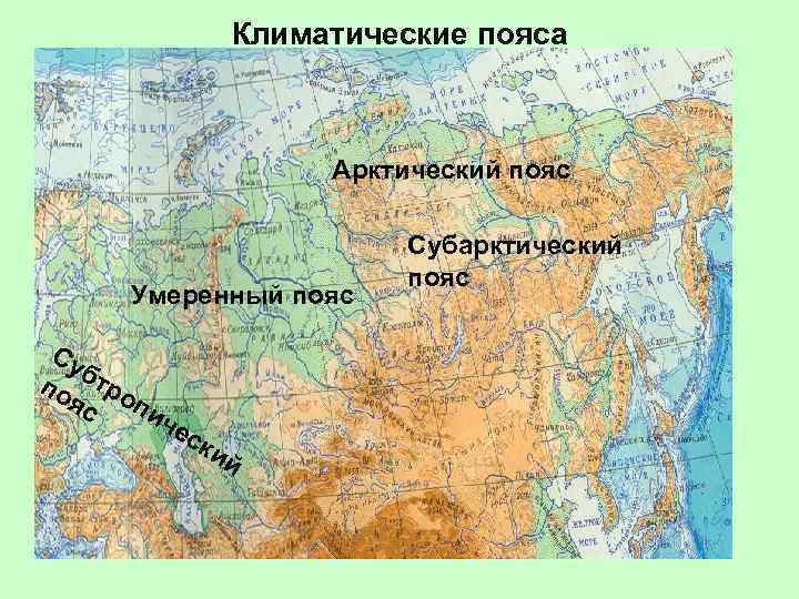    Климатические пояса    Арктический пояс    